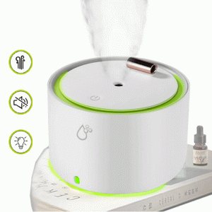 Humidifier W/ Build-in Battery