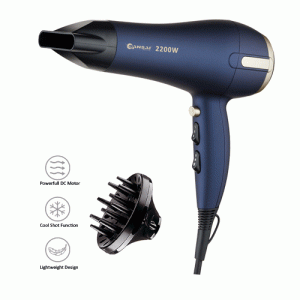 2200W Professional Hair Dryer
